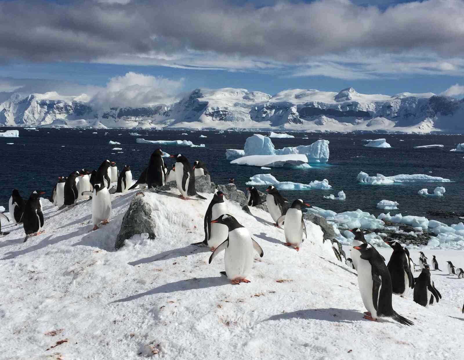 antarctica (2)-2